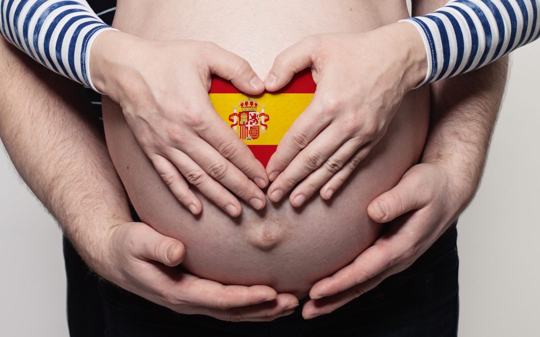 The keys to surrogacy contracts: What are pregnant mothers obliged to do?