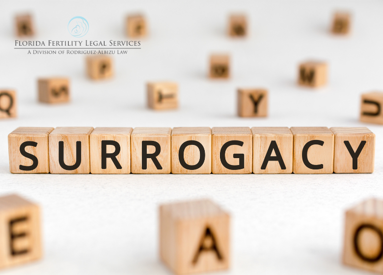 Navigating Surrogacy Agreements:  Insights from Florida Attorneys