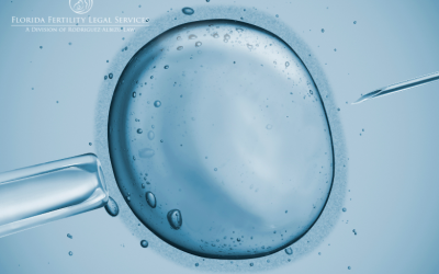 Egg Donation and Sperm Donation Legalities: What You Need to Know in Florida